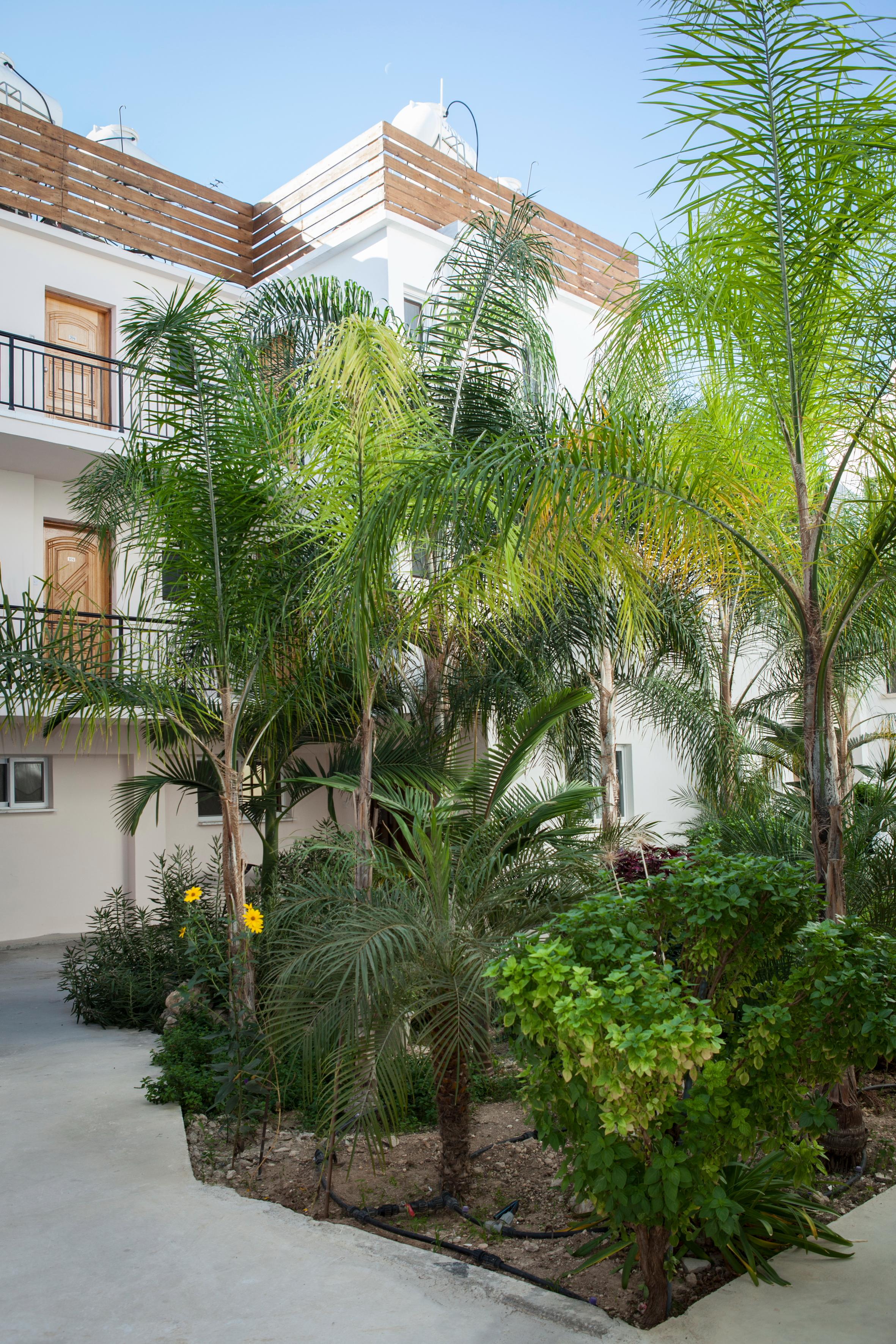 Alecos Hotel Apartments Paphos Exterior foto